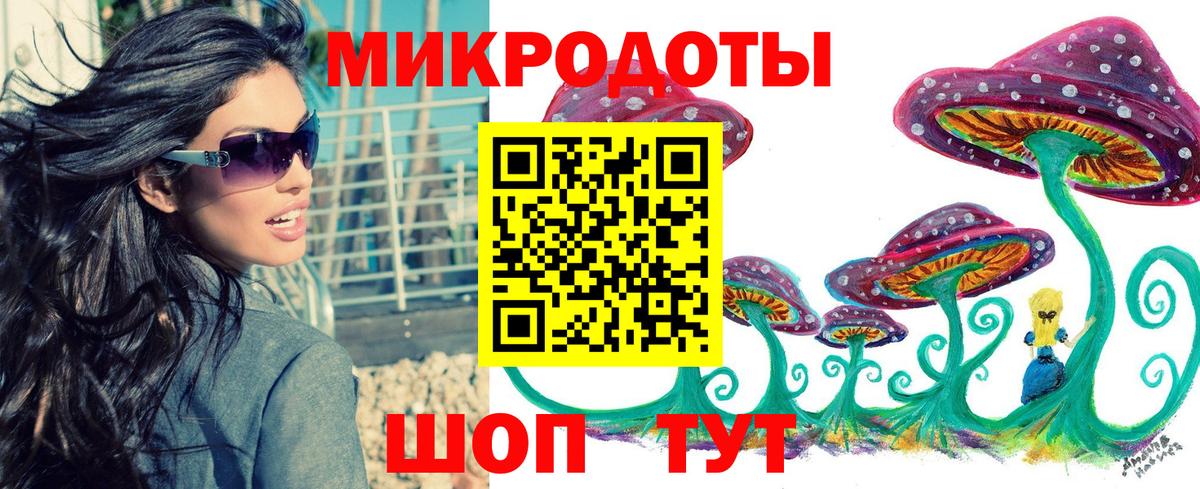 Псилоцибиновые грибы Psilocybe Среднеуральск